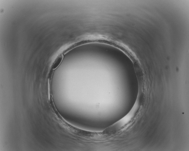 X0000080711175200612221135