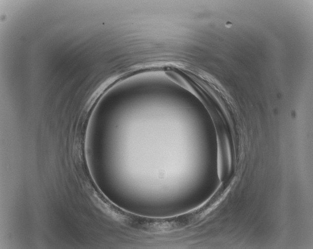 X0000080711177200612221135