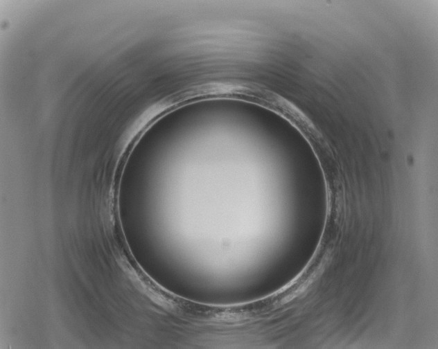 X0000080711178200612221135