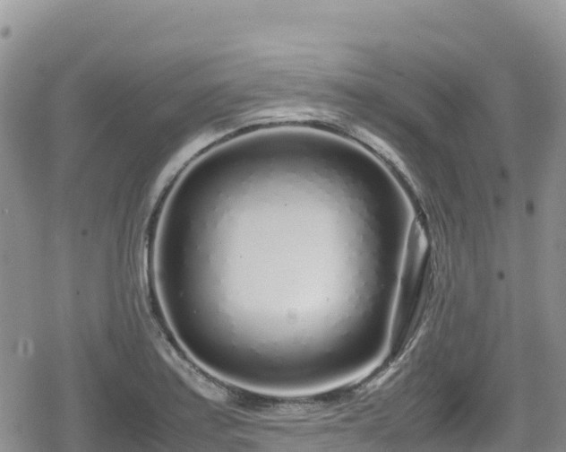 X0000080711179200612221135