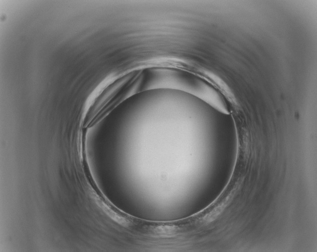 X0000080711180200612221135