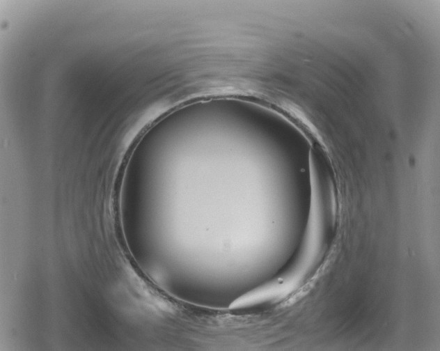 X0000080711181200612221135