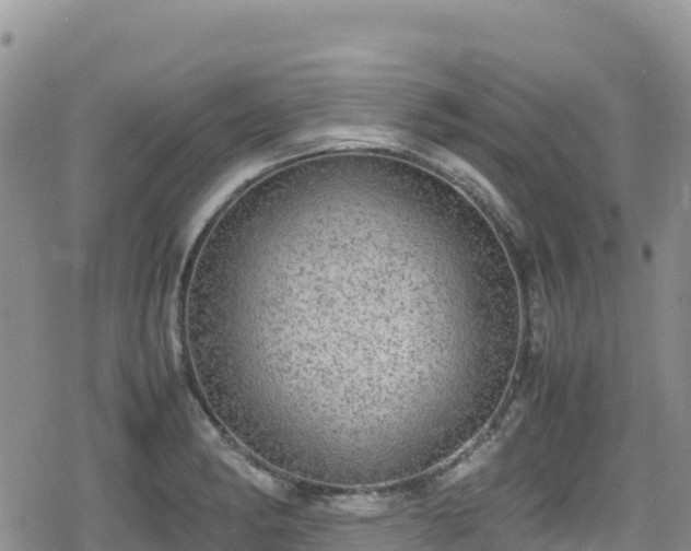 X0000080711182200612221135