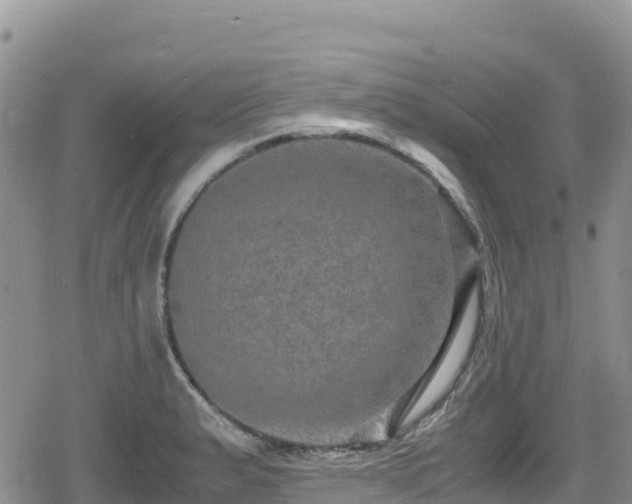 X0000080711183200612221135