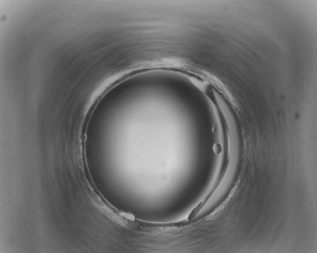 X0000080711184200612221135