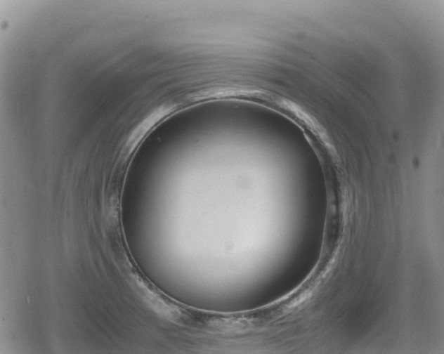 X0000080711185200612221135