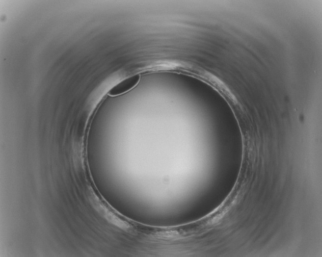 X0000080711186200612221135