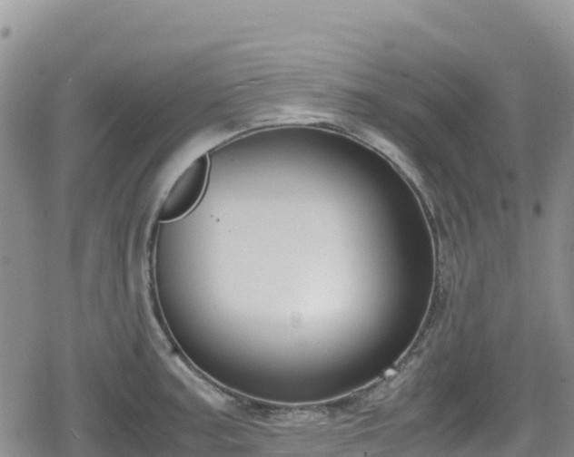 X0000080711187200612221135