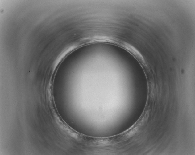 X0000080711190200612221135