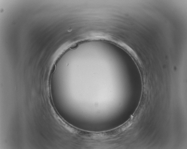 X0000080711191200612221135