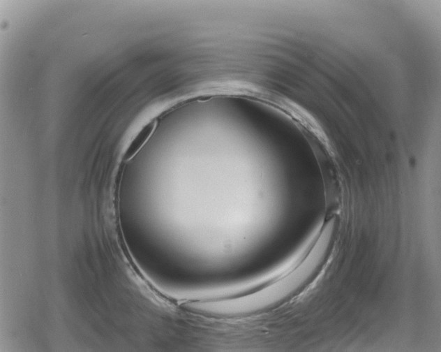 X0000080711192200612221135