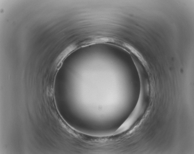 X0000080711193200612221135