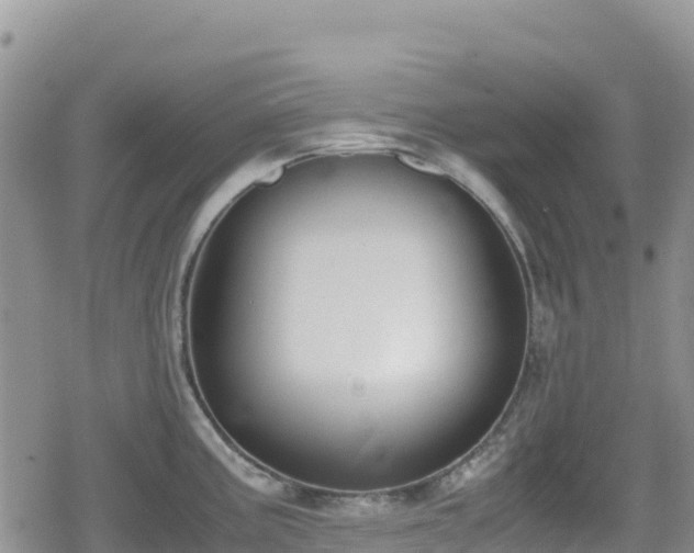 X0000080711195200612221135