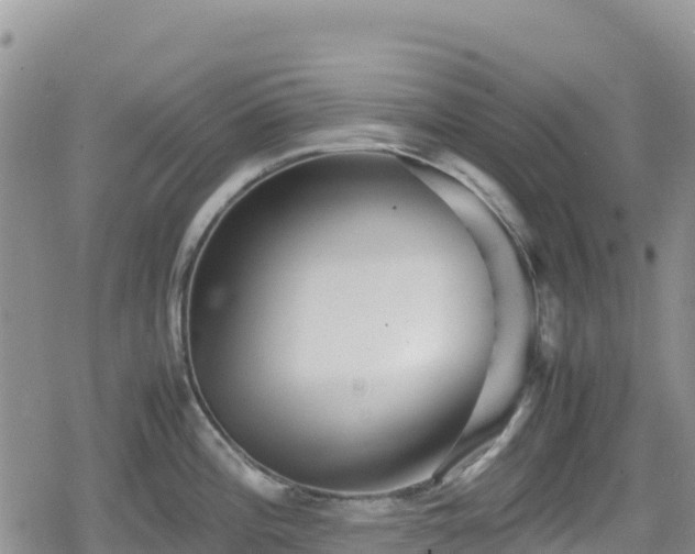 X0000080711196200612221135