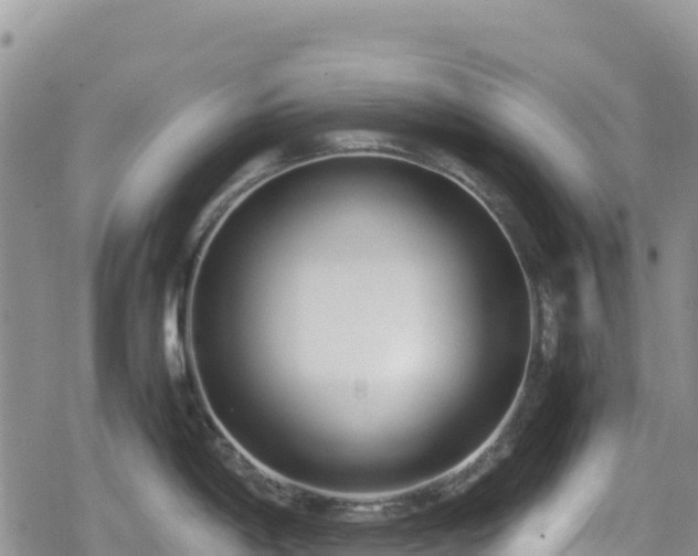 X0000080711198200612221135