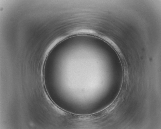 X0000080711199200612221135