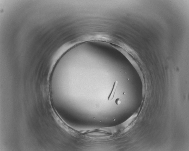 X0000080711200200612221135