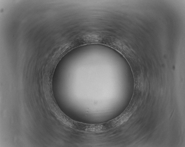 X0000080711201200612221134