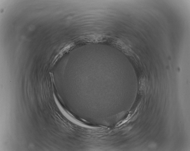 X0000080711202200612221134