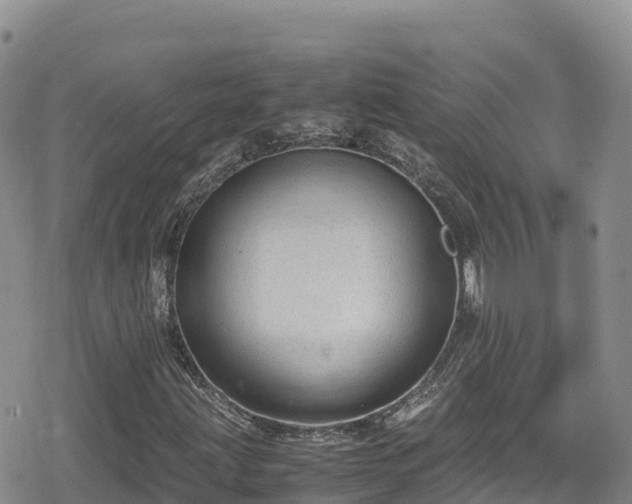 X0000080711203200612221134