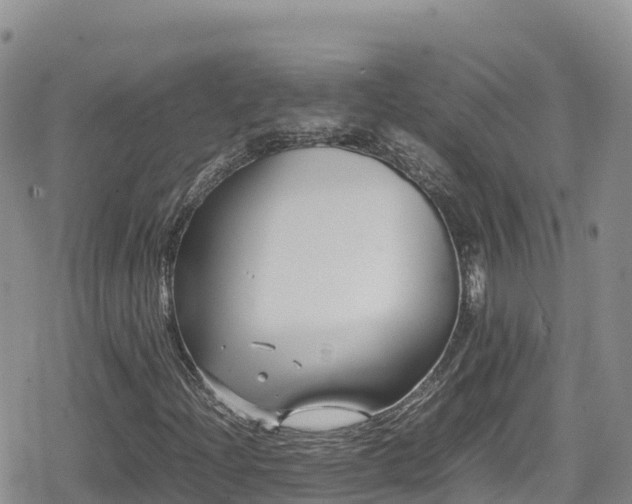 X0000080711204200612221134