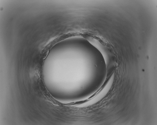 X0000080711206200612221134