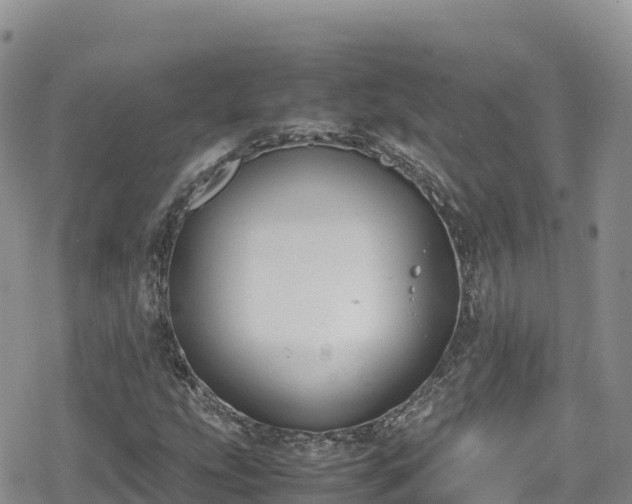 X0000080711207200612221134