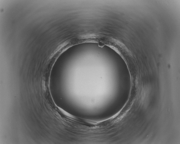 X0000080711209200612221134