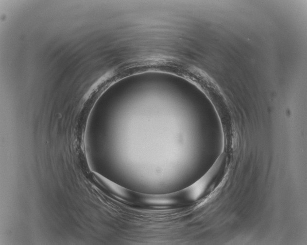 X0000080711210200612221134