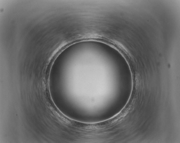 X0000080711212200612221134