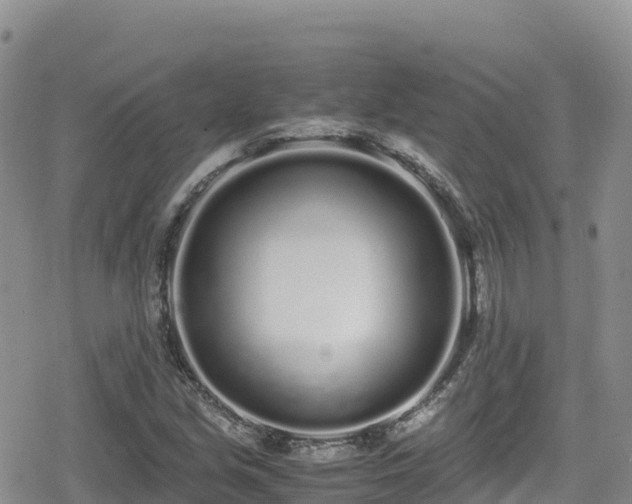 X0000080711213200612221134