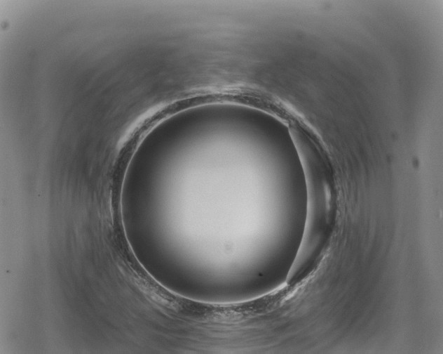 X0000080711214200612221134