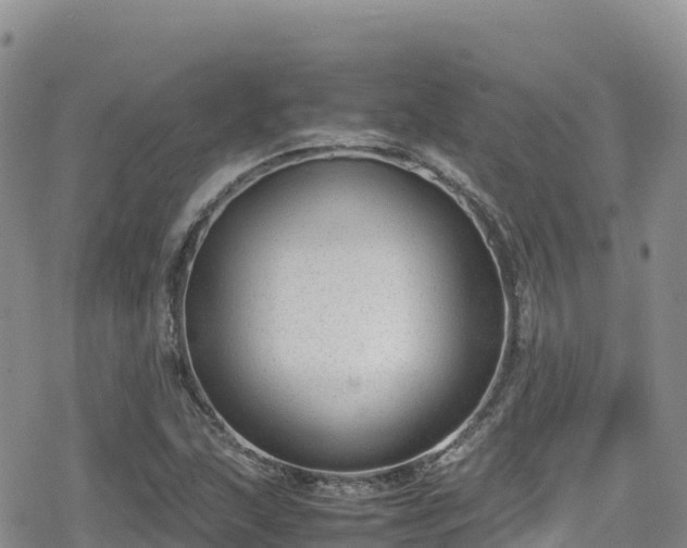 X0000080711215200612221134