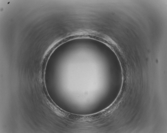 X0000080711216200612221134