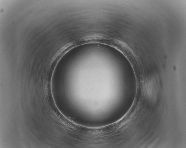 X0000080711217200612221134