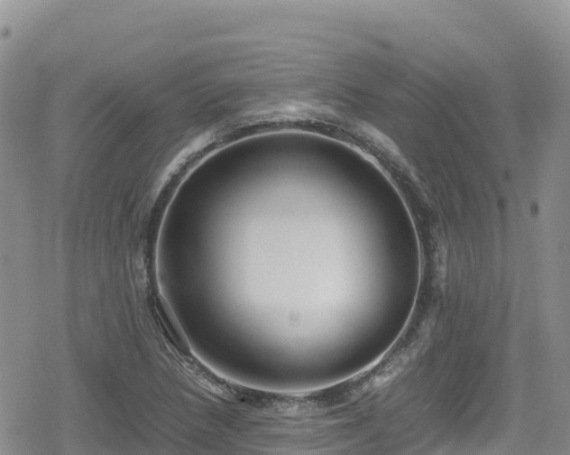 X0000080711218200612221134