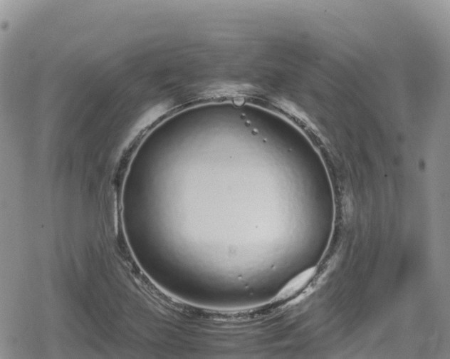 X0000080711219200612221134