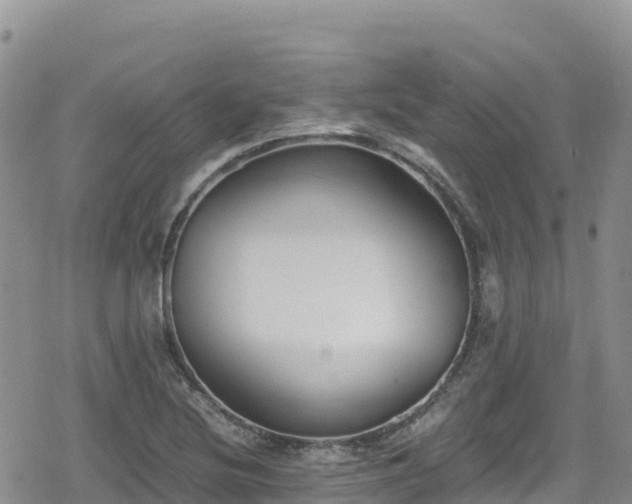 X0000080711220200612221134