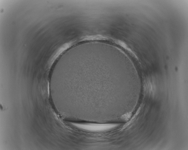 X0000080711221200612221134