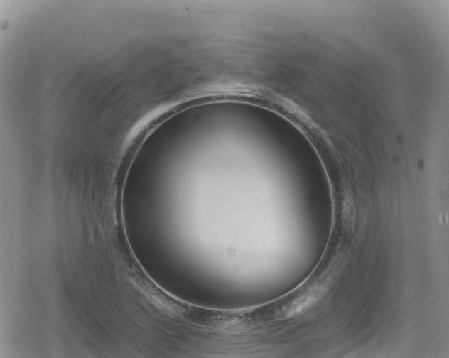 X0000080711222200612221134