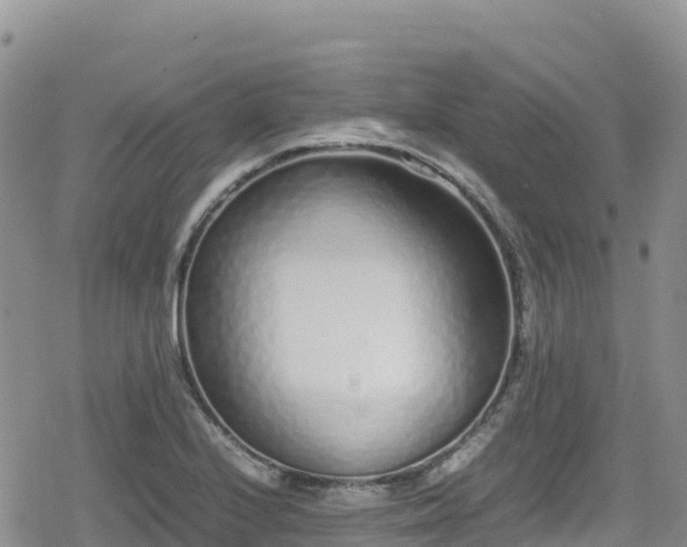 X0000080711224200612221134