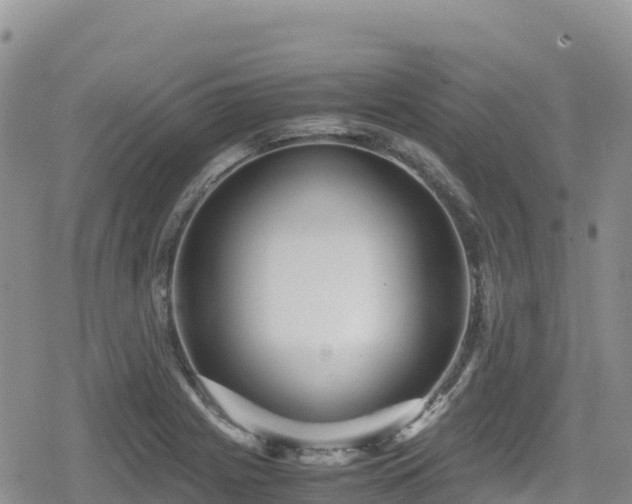 X0000080711225200612221134