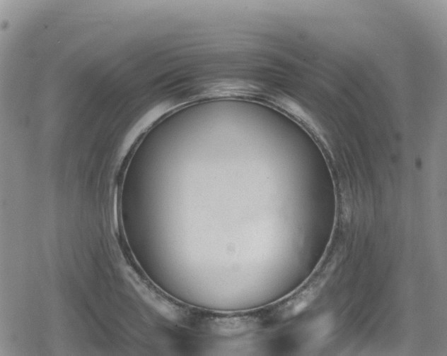 X0000080711227200612221134