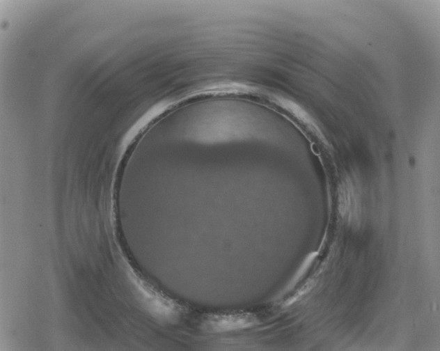 X0000080711229200612221134