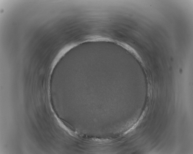 X0000080711231200612221134