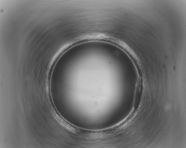 X0000080711232200612221134