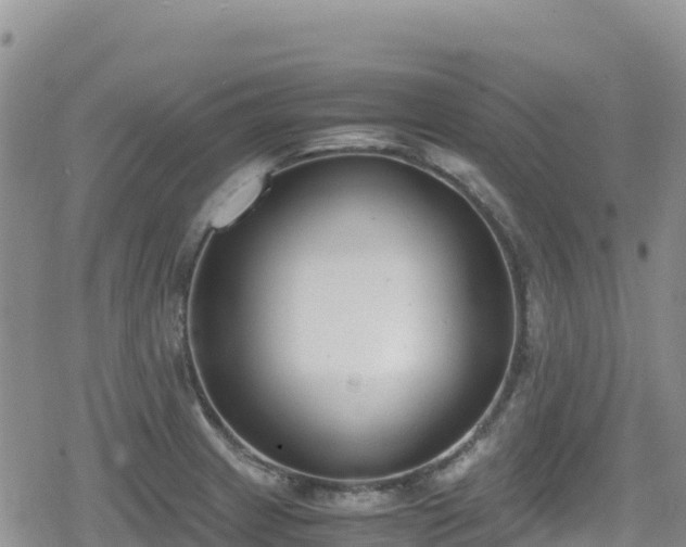 X0000080711233200612221134