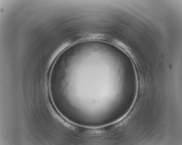 X0000080711235200612221135