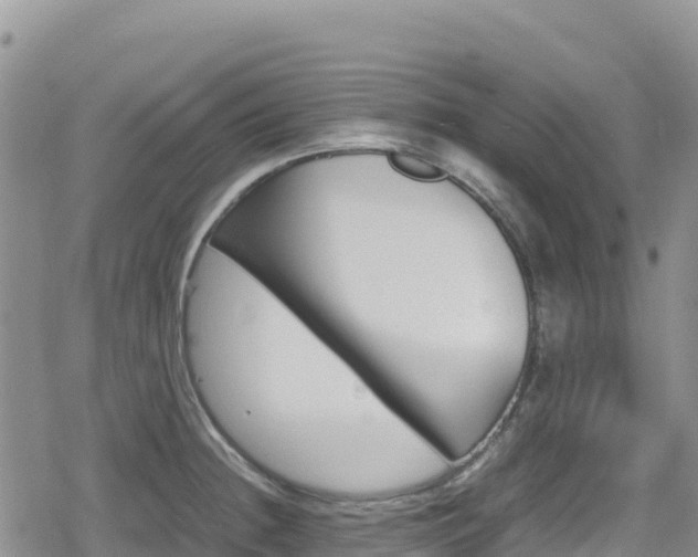 X0000080711236200612221135