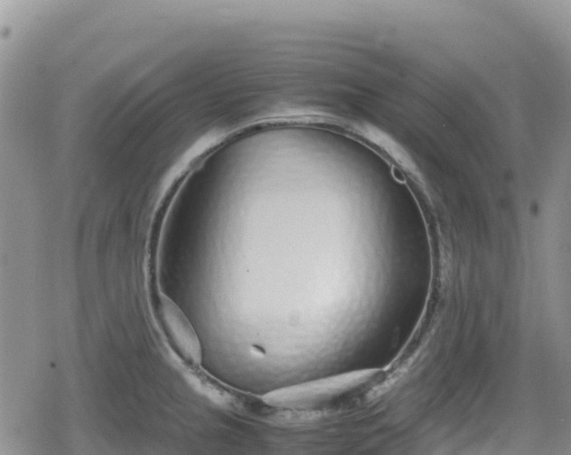 X0000080711237200612221135